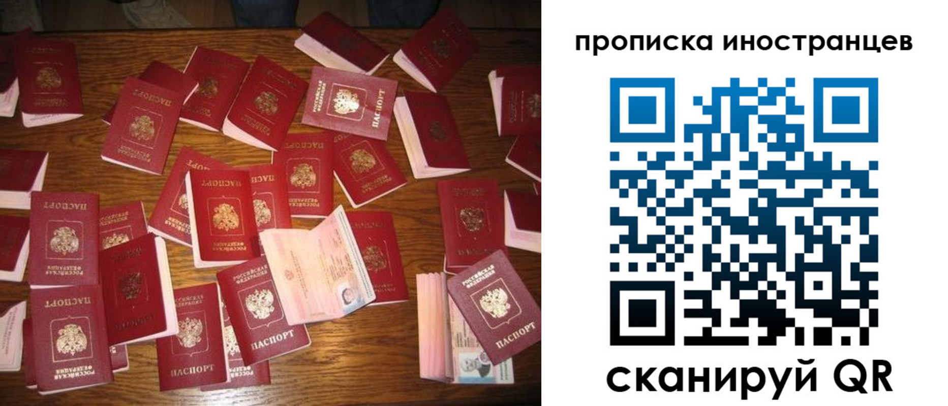 найти адрес прописки в Нелидово